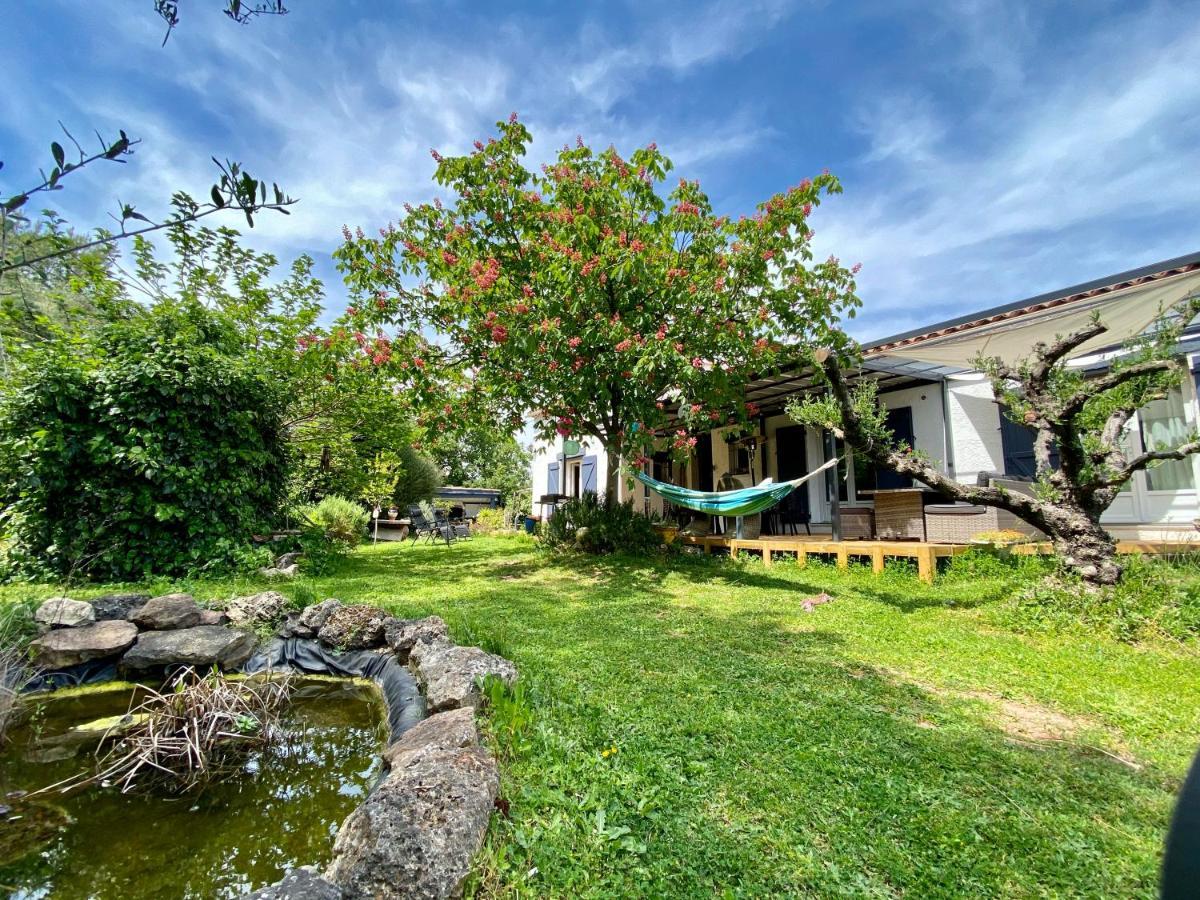 Chambres D'Hotes Le Mas Du Bijou Bleu Puget-sur-Argens Eksteriør billede