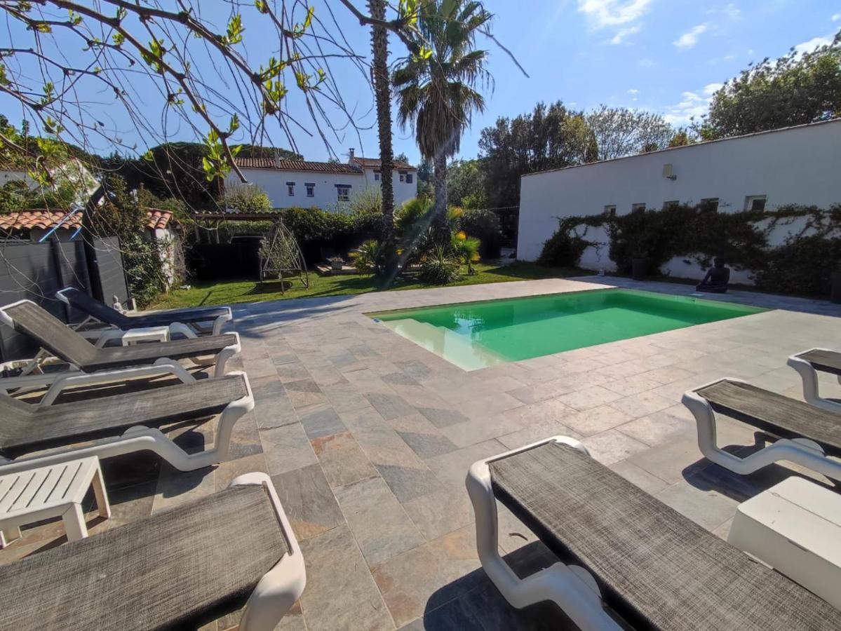 Chambres D'Hotes Le Mas Du Bijou Bleu Puget-sur-Argens Eksteriør billede