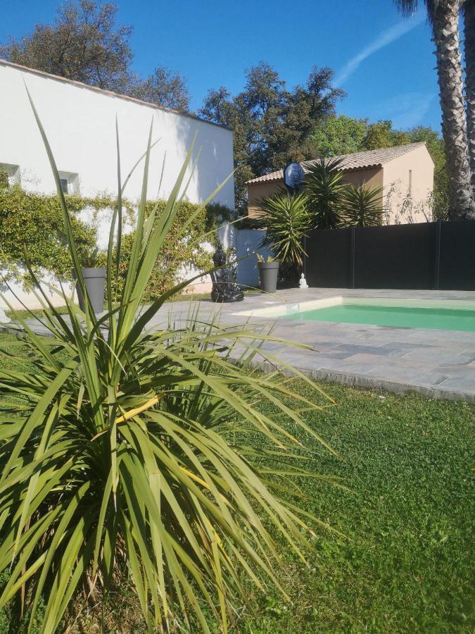 Chambres D'Hotes Le Mas Du Bijou Bleu Puget-sur-Argens Eksteriør billede