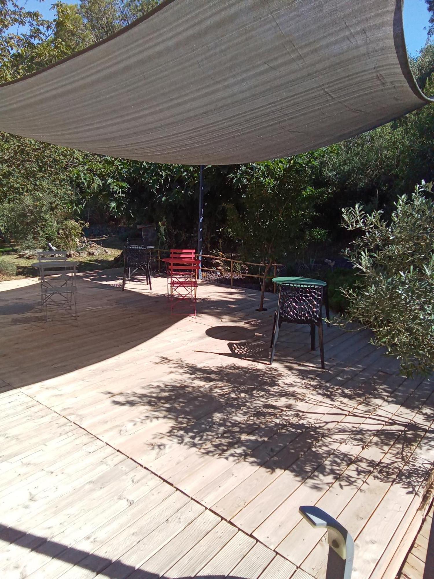 Chambres D'Hotes Le Mas Du Bijou Bleu Puget-sur-Argens Eksteriør billede