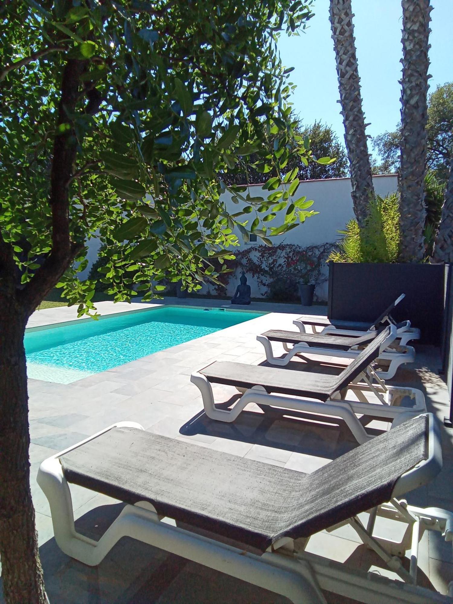 Chambres D'Hotes Le Mas Du Bijou Bleu Puget-sur-Argens Eksteriør billede
